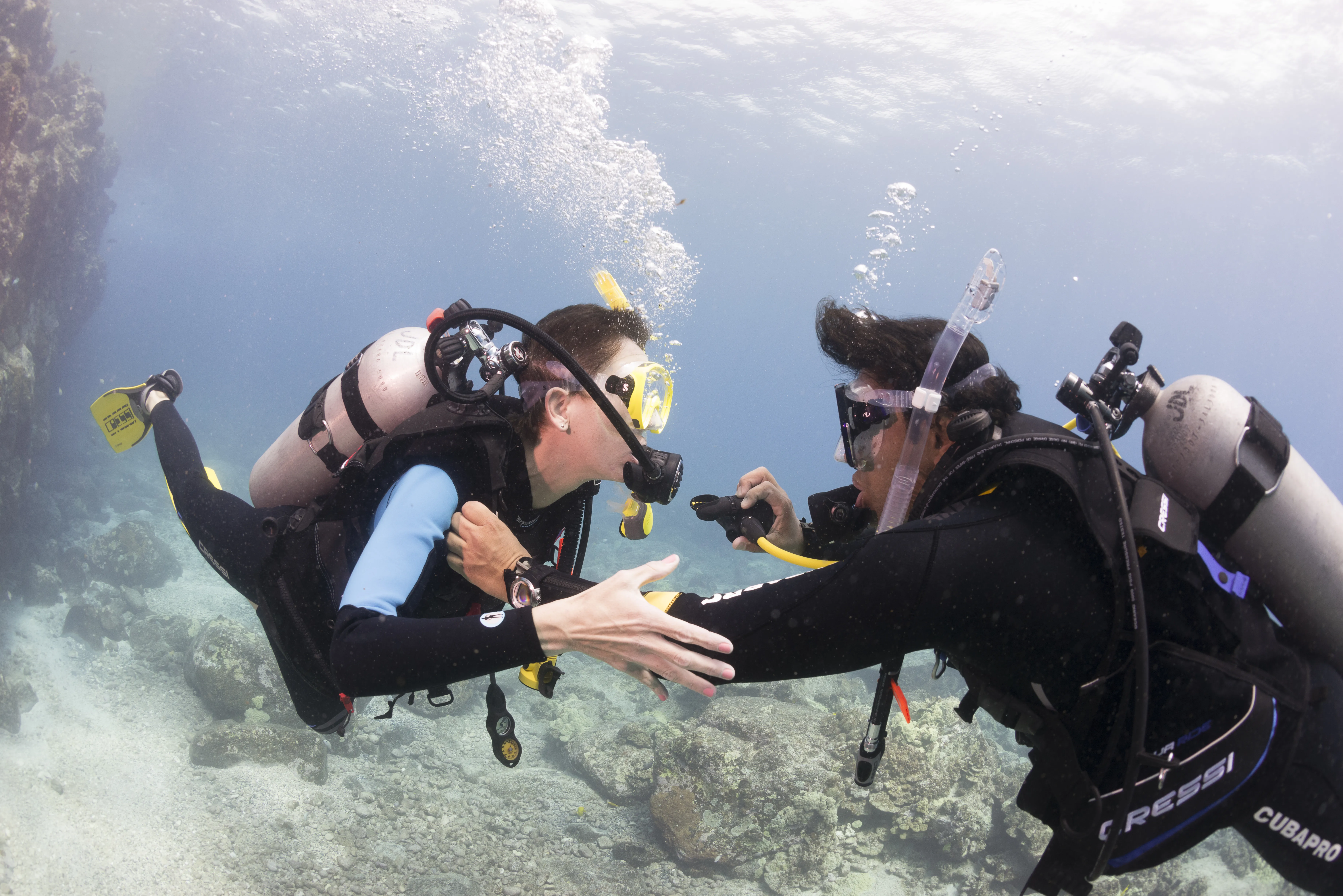 Morning Dive