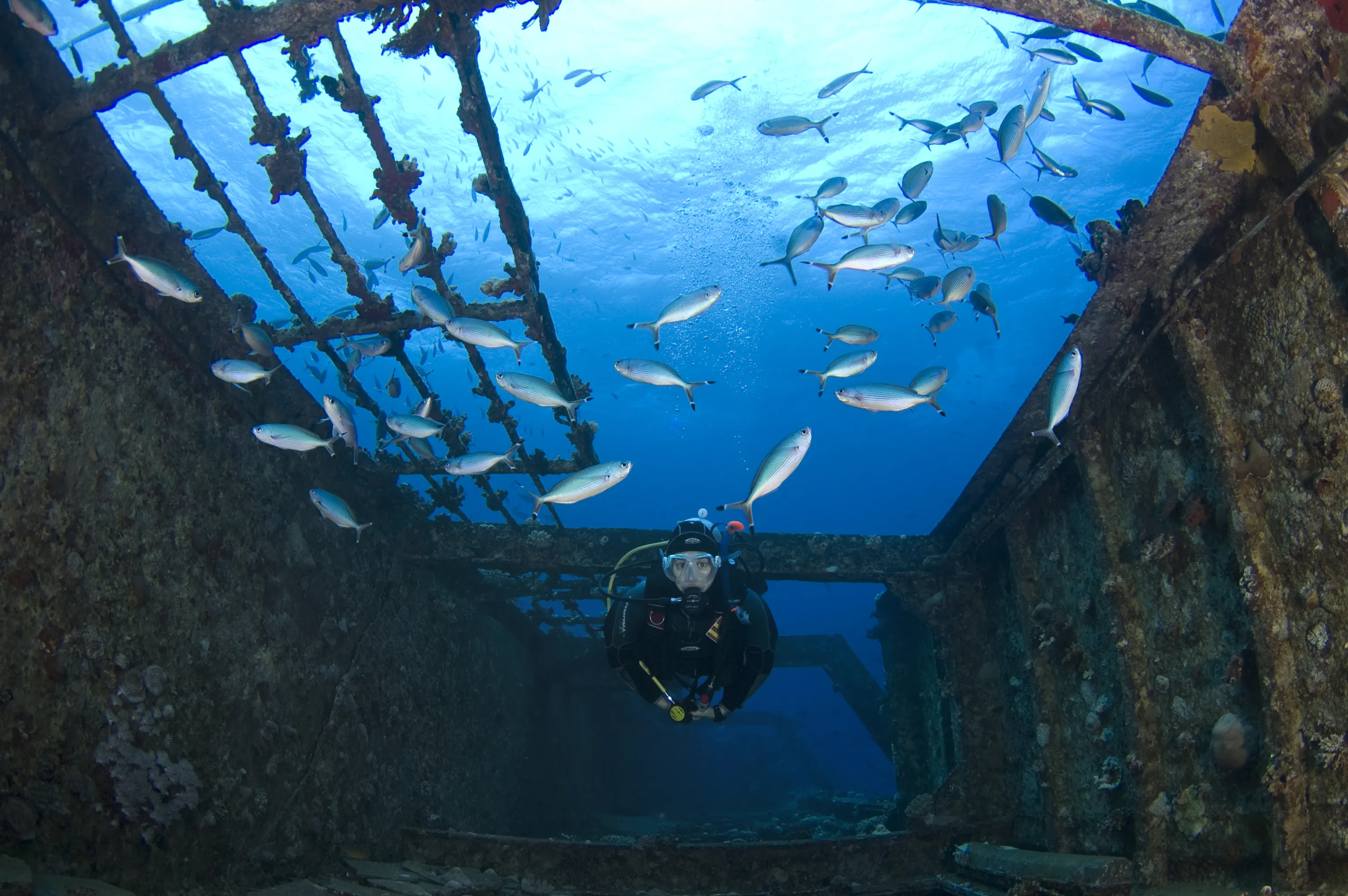 Kuda Giri Wreck